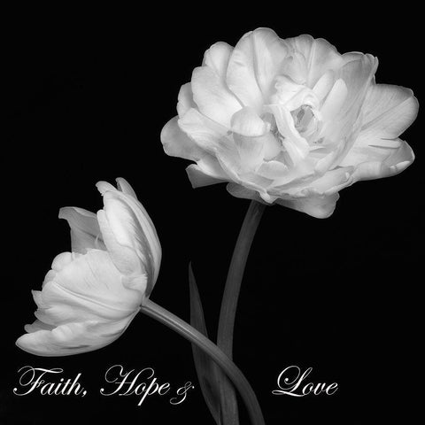 Faith Hope Love Black Modern Wood Framed Art Print with Double Matting by Poinski, Dianne