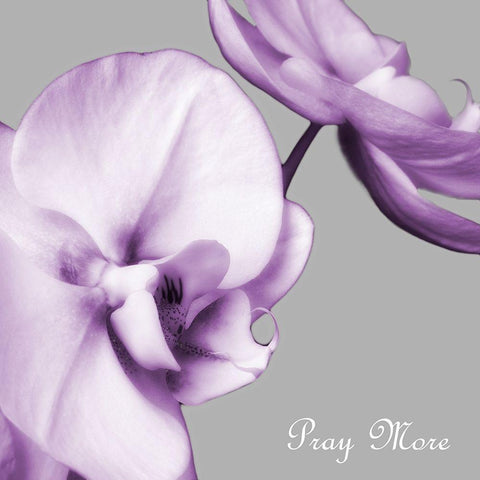 Praying Orchids Black Modern Wood Framed Art Print with Double Matting by Poinski, Dianne