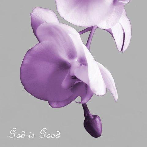 Godly Good Orchids Gold Ornate Wood Framed Art Print with Double Matting by Poinski, Dianne