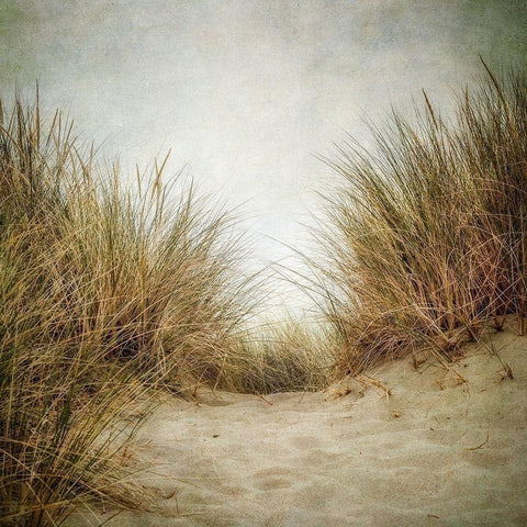 Beach Grasses 2 Gold Ornate Wood Framed Art Print with Double Matting by Poinski, Dianne