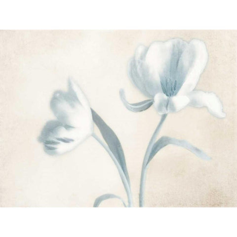 Whispering Sky 1 White Modern Wood Framed Art Print by Poinski, Dianne