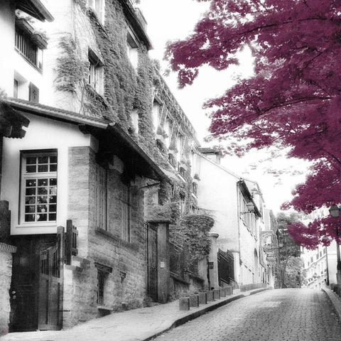 Eggplant Montmartre White Modern Wood Framed Art Print by Poinski, Dianne