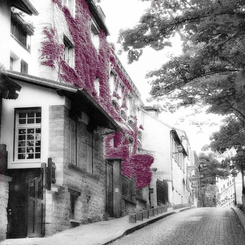 Eggplant Montmartre White Modern Wood Framed Art Print with Double Matting by Poinski, Dianne