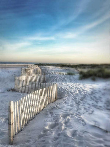 Sand Fence White Modern Wood Framed Art Print with Double Matting by Rowland, Joseph