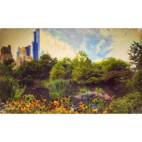 Central Park Painted Black Modern Wood Framed Art Print with Double Matting by Rowland, Joseph