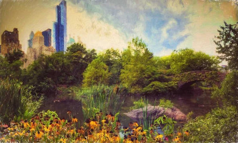 Central Park Painted Black Ornate Wood Framed Art Print with Double Matting by Rowland, Joseph