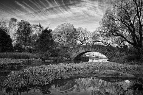 Magic Of Central Park Black Ornate Wood Framed Art Print with Double Matting by Rowland, Joseph