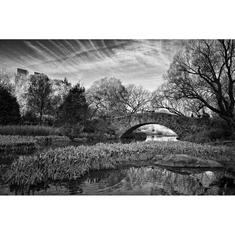 Magic Of Central Park Black Modern Wood Framed Art Print with Double Matting by Rowland, Joseph