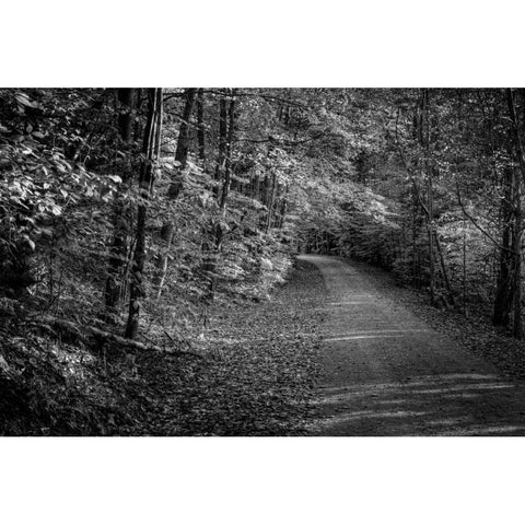 Bend In The Road Black Modern Wood Framed Art Print with Double Matting by Rowland, Joseph