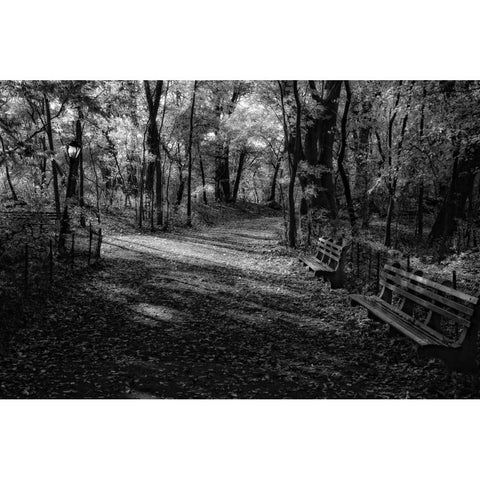 Quiet Path Black Modern Wood Framed Art Print with Double Matting by Rowland, Joseph