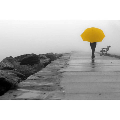 Walking In The Rain Gold Ornate Wood Framed Art Print with Double Matting by De Carvalho, Sandro