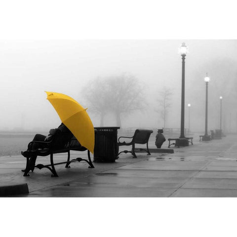 Sitting In The Rain Black Modern Wood Framed Art Print with Double Matting by De Carvalho, Sandro
