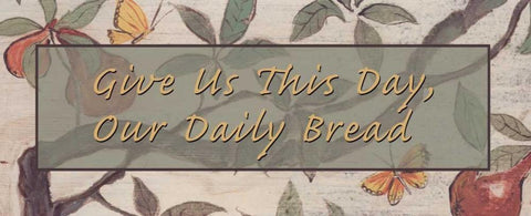 . White Modern Wood Framed Art Print with Double Matting by Haynes, Smith