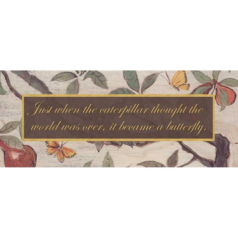. White Modern Wood Framed Art Print by Haynes, Smith