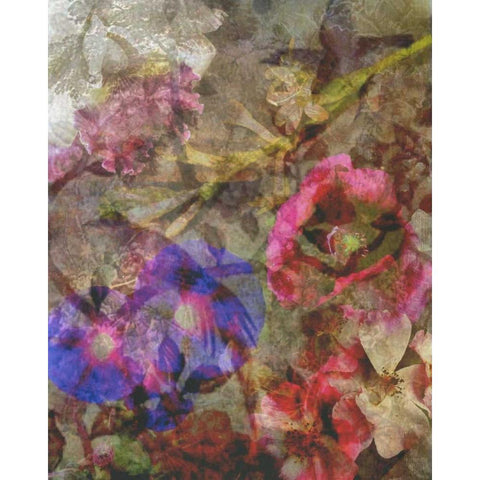 Floral Meeting 2 White Modern Wood Framed Art Print by Haynes, Smith