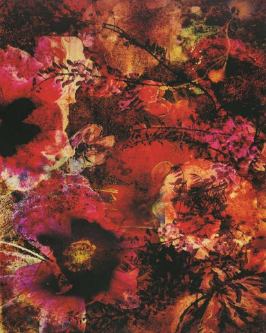 Crimson Florals White Modern Wood Framed Art Print with Double Matting by Haynes, Smith
