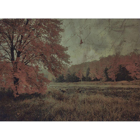 Fall In The Mist Black Modern Wood Framed Art Print with Double Matting by Haynes, Smith
