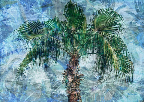 Green Palm Sunday White Modern Wood Framed Art Print with Double Matting by Haynes, Smith