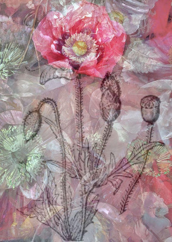 Deep Blossom 1 White Modern Wood Framed Art Print with Double Matting by Haynes, Smith