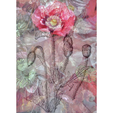 Deep Blossom 1 Black Modern Wood Framed Art Print by Haynes, Smith