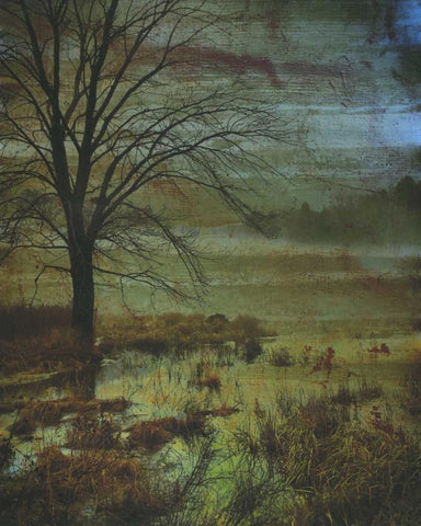 Somewhere Beyond The Mist 1 Black Ornate Wood Framed Art Print with Double Matting by Haynes, Smith