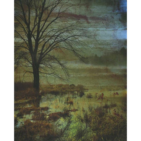 Somewhere Beyond The Mist 1 Gold Ornate Wood Framed Art Print with Double Matting by Haynes, Smith