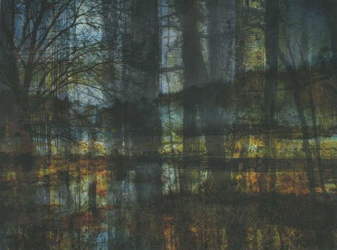 Natural Reflection Black Ornate Wood Framed Art Print with Double Matting by Haynes, Smith