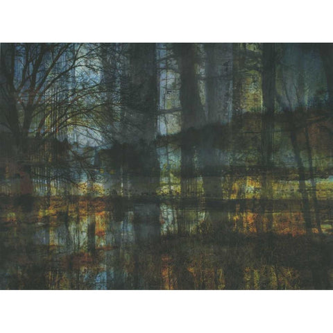 Natural Reflection Black Modern Wood Framed Art Print with Double Matting by Haynes, Smith