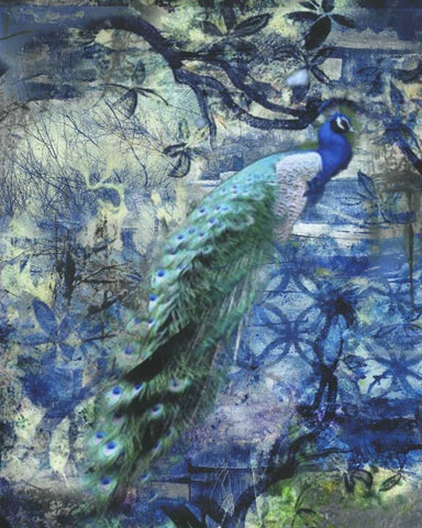 Peacock Jungle Sea White Modern Wood Framed Art Print with Double Matting by Haynes, Smith