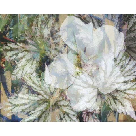 Distorted Jungle 1 White Modern Wood Framed Art Print by Haynes, Smith