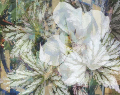 Distorted Jungle 1 White Modern Wood Framed Art Print with Double Matting by Haynes, Smith