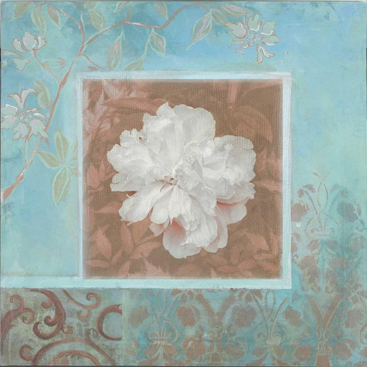 Image Only