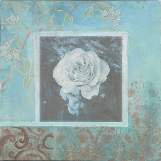 Image Only