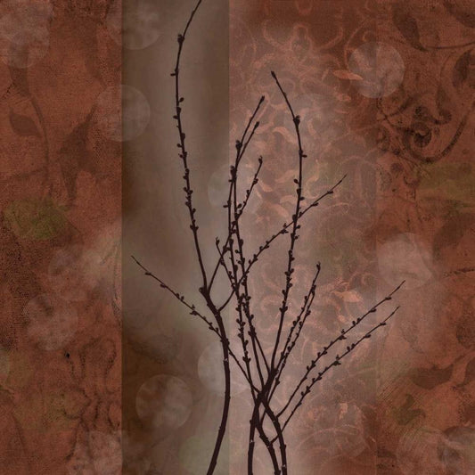 Image Only