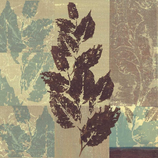 Image Only
