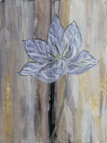 Narrow Tulip Hall White Modern Wood Framed Art Print with Double Matting by Haynes, Smith