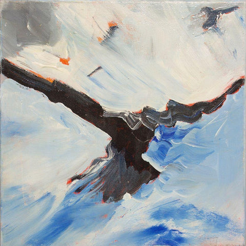 Crow In Flight White Modern Wood Framed Art Print with Double Matting by Lewis, Sharalee