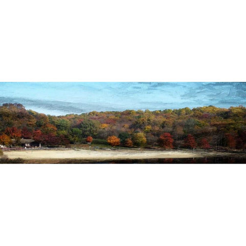 Fall On Canvas Black Modern Wood Framed Art Print with Double Matting by Lewis, Sheldon