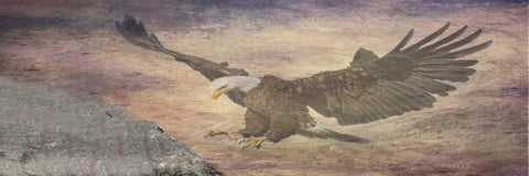 Free Spirit White Modern Wood Framed Art Print with Double Matting by Lewis, Sheldon