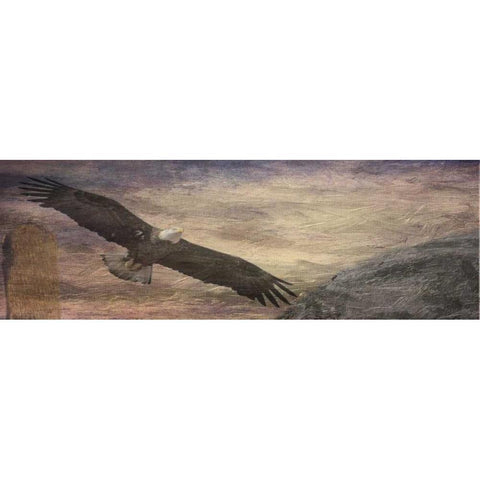 Free Spirit 2 White Modern Wood Framed Art Print by Lewis, Sheldon