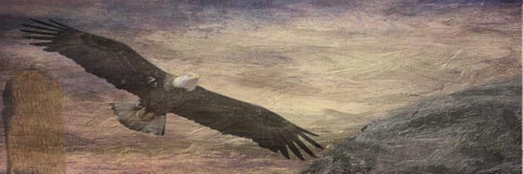 Free Spirit 2 Black Ornate Wood Framed Art Print with Double Matting by Lewis, Sheldon