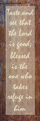 Refuge In The Lord White Modern Wood Framed Art Print with Double Matting by Lewis, Sheldon