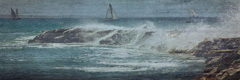 Coastal Drift Wood White Modern Wood Framed Art Print with Double Matting by Lewis, Sheldon