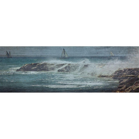 Coastal Drift Wood Black Modern Wood Framed Art Print by Lewis, Sheldon