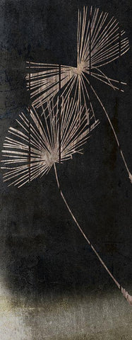 Drifting In the wind 1 Black Ornate Wood Framed Art Print with Double Matting by Lewis, Sheldon