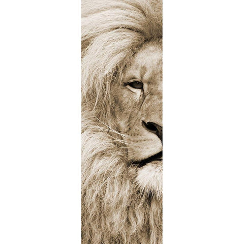 Left Eyed Black Modern Wood Framed Art Print by Lewis, Sheldon