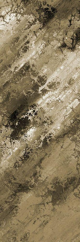 Earthy Abstract 2 Black Ornate Wood Framed Art Print with Double Matting by Lewis, Sheldon