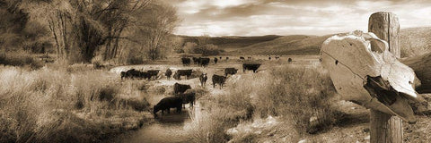 Hurders White Modern Wood Framed Art Print with Double Matting by Lewis, Sheldon