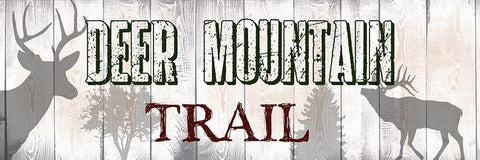 Deer Mountain Trail White Modern Wood Framed Art Print with Double Matting by Lewis, Sheldon