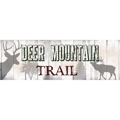 Deer Mountain Trail Black Modern Wood Framed Art Print with Double Matting by Lewis, Sheldon